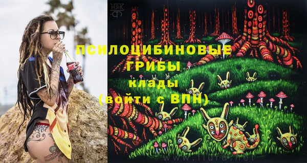 меф Инта